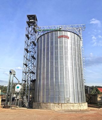 qualità  Farm /seed plant/flour mill plant service 500ton 1000ton 3000ton overseas grain steel silo fabbrica